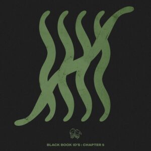 VA - Black Book ID's Chapter 5 [BB50B]