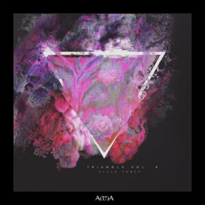 VA - Triangle Vol 6 [ALULA176]