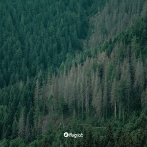 Greenage - Savaya [FLAB60]