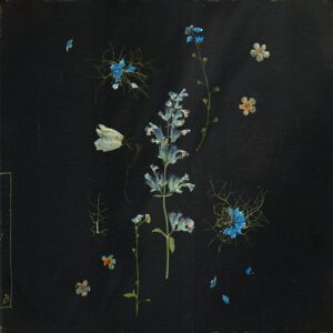 Leaving Laurel - Better days will come [ANJDEE769D]