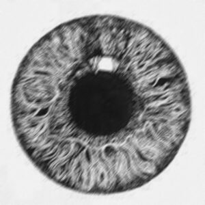 MUUI - The dream repeats itself since it forgets itself [HERENOWLP10]
