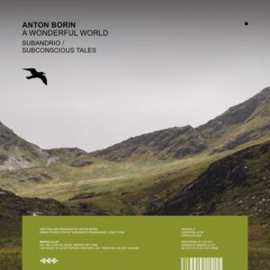 Anton Borin (RU) - A Wonderful World [ALLEY220]