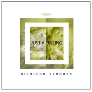 Avedan - Just A Feeling [DRR0037]