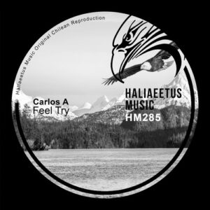 Carlos A - Feel Try [HM285]