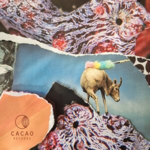 Damian Rausch, Meron T - Livin [CAO062]