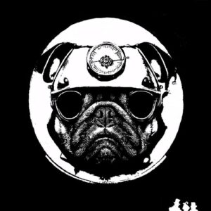 Gaga, Mateo! - Rainbow Bridge [DFR350]