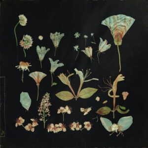 Leaving Laurel - when the quiet comes [ANJCD132D]