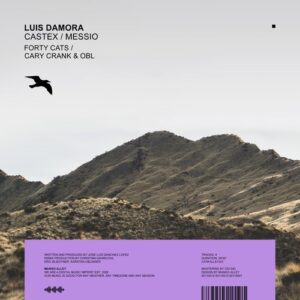 Luis Damora - Castex / Messio [ALLEY221]