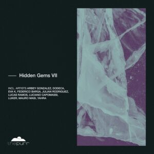 VA - Hidden Gems VII  [PURR376]