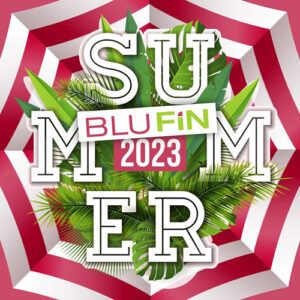 VA - Summer 2023 [BFCD61]