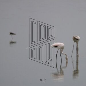 dop - Jealous of the Birds [DOPONLY017]