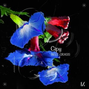 Cipy - Blue Grass [MULTINOTES55]