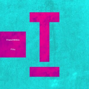 Friend Within - Pilka [TOOL119601Z]