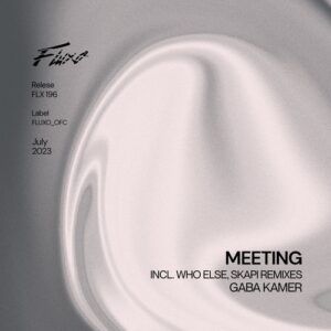 Gaba Kamer - Meeting [FLX196]
