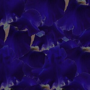 Mumbai Science - Iris EP [DIYNAMIC171]