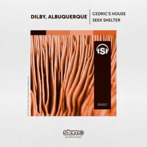 Dilby, Albuquerque - Seek Shelter - EP [SPA317]
