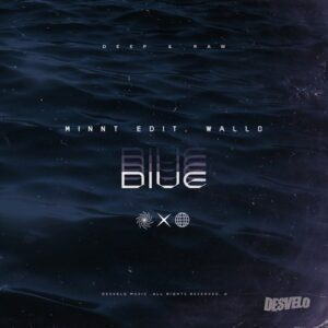 MiNNt Edit, Wallo - Dive [DSVLO036]