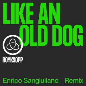 Royksopp & Pixx - Like An Old Dog (Enrico Sangiuliano Remix) [DOG105]