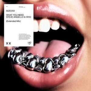 Steve Angello, Wh0 - What You Need (Extended Mix) [00602458269215]