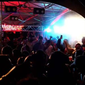 The Fellas (US) Petria Chart