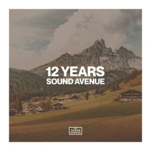VA - 12 Years Sound Avenue [SA029LP]