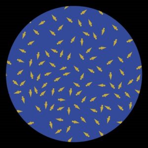 Cicuendez - Alizacion [DEZ12]