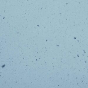 GHEIST & Philipp Johann Thimm - Spring Palmz [ITA132DS]