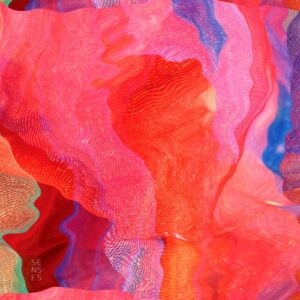 Habischman - Nu:dei [SENSES03]