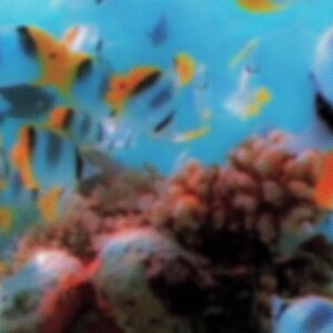 Iron Curtis - Fountains [PERMVAC293-1]