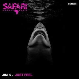 Jim K - Just Feel [SGM068]