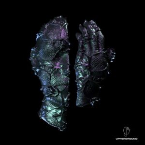 Massano - Shapeshifter EP [197338523704]