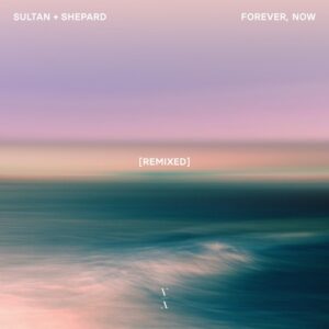 Sultan + Shepard - Forever, Now Remixed [TNHLP011RE]