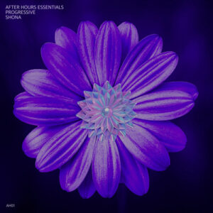 VA - After Hours Essentials Progressive SHONA [AH01]