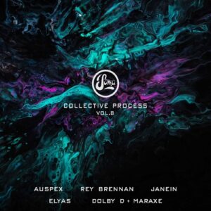 VA - Collective Process Vol. 8 [SOMA654D]