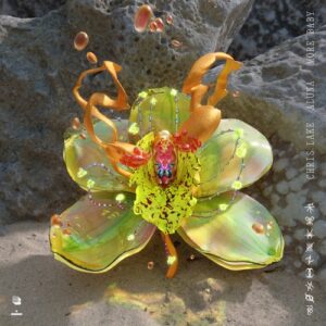 Aluna, Chris Lake - More Baby [BB63B]