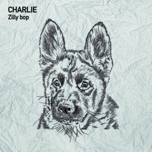 Charlie - Zilly bop [TSL218]
