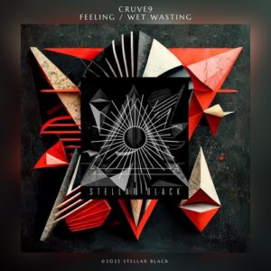 Cruve9 - Feeling / Wet Wasting [SB067]