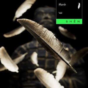 Marsh - Veil (Extended Mix) [197338492147]