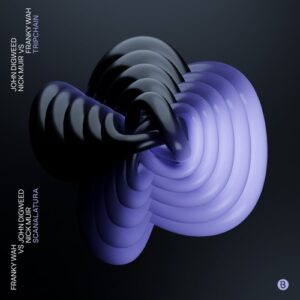 Nick Muir, John Digweed & Franky Wah - Tripchain / Scanalatura [BEDDIGI222]