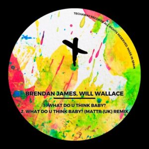 Brendan James, Will Wallace - What Do U Think Baby? [TEC228]
