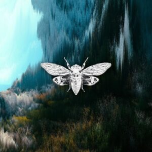 Die Propheten - Beliefs [CR016]