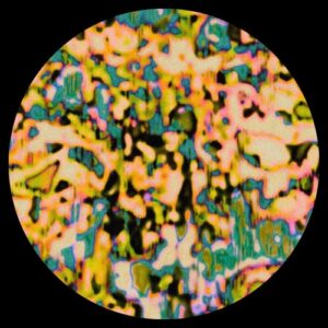 Luis León, Kujiomi - Kids Want Techno [BKH054]