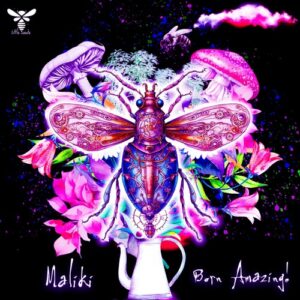 MALIKI - Born Amazing! [LIN127]