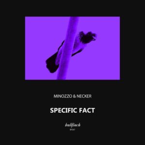 MINOZZO, Necker - Specific Fact [BF367]