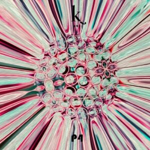 P4 - Dance with the groove [KRS095]