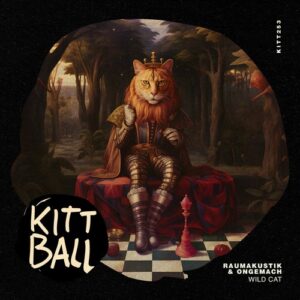 Raumakustik & ONGEMACH - Wild Cat [KITT2531]