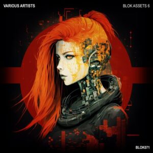 VA - BLOK ASSETS 6 [BLOK071]