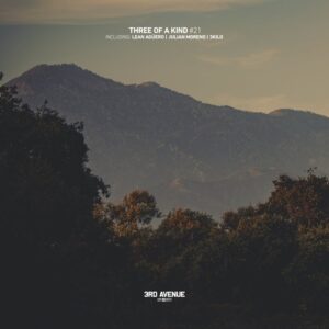 VA - Three of a Kind #21 [3AV396]