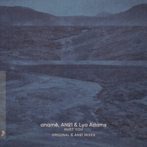 anamē (SE) & AN21, Lya Adams - Hurt You (Original & AN21 Mixes) [ANJ921D]