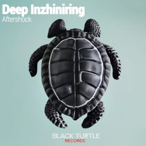 Deep Inzhiniring - Aftershock [BTR573]
